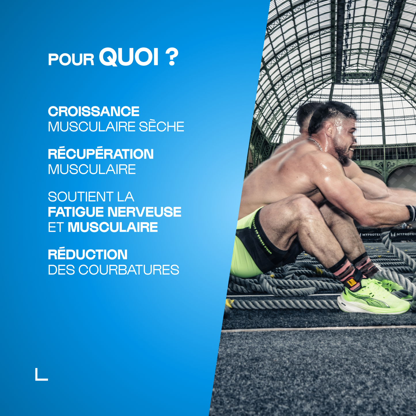 BCAA 4.1.1 Développement musculaire - gélules