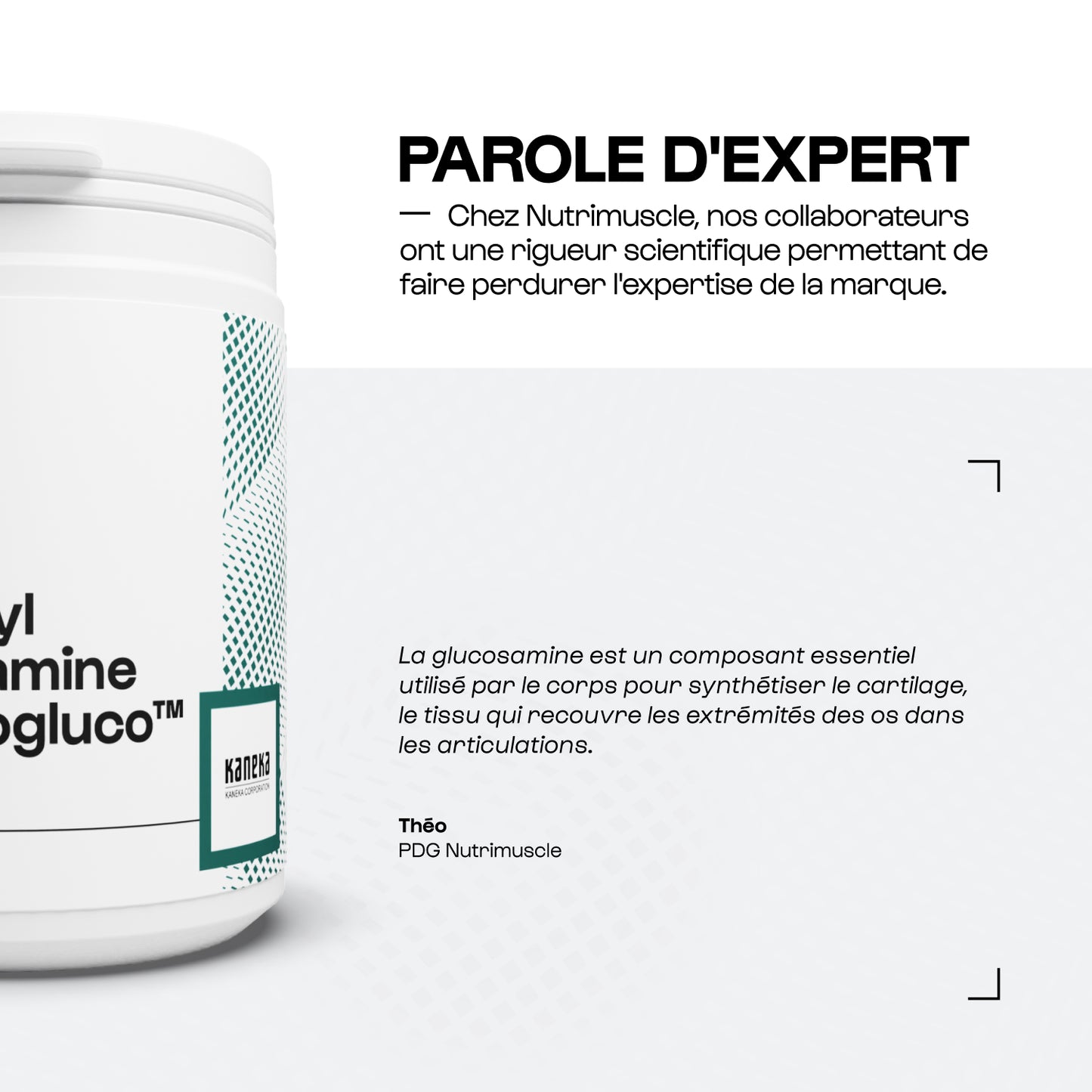 Glucosamine (N-Acetylglucosamine) Hyalurogluco™ en poudre