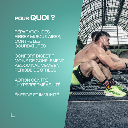 Glutamine (L-Glutamine) en poudre